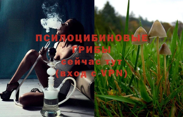 кокаин Алексеевка