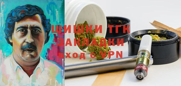 твердый Алексин