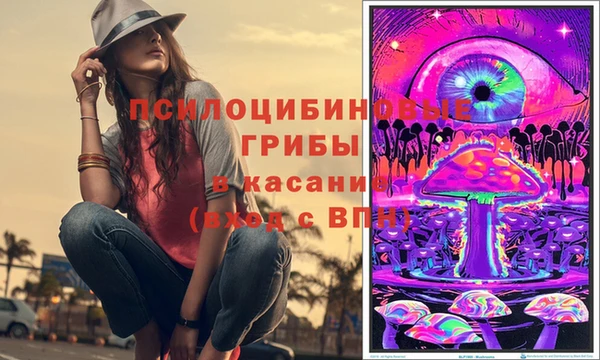 твердый Алексин