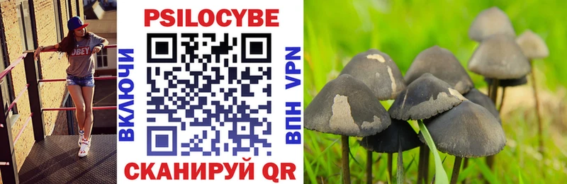 наркота  Новоаннинский  Псилоцибиновые грибы мицелий 